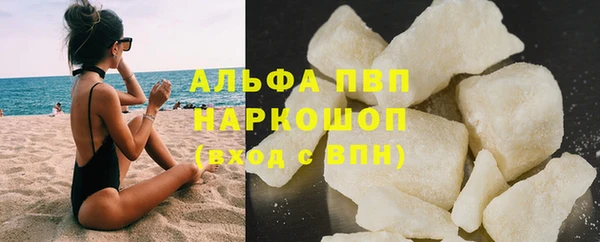 Альфа ПВП Горняк