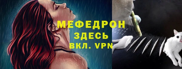 Альфа ПВП Горняк