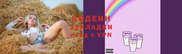 шишки Горнозаводск