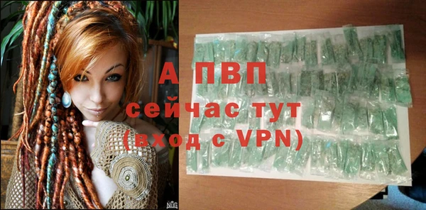 шишки Горнозаводск