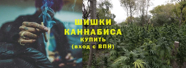 Альфа ПВП Горняк