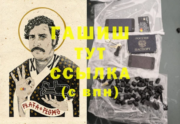 Альфа ПВП Горняк