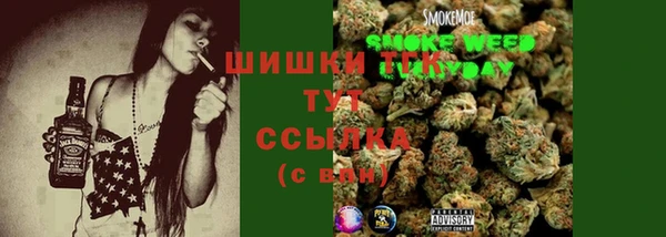 шишки Горнозаводск