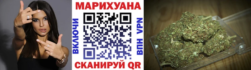 Канабис OG Kush  Гусиноозёрск 